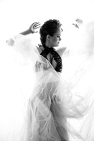 _Z068763-2